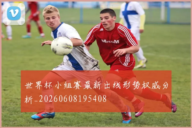 世界杯小组赛最新出线形势权威分析_20260608195408