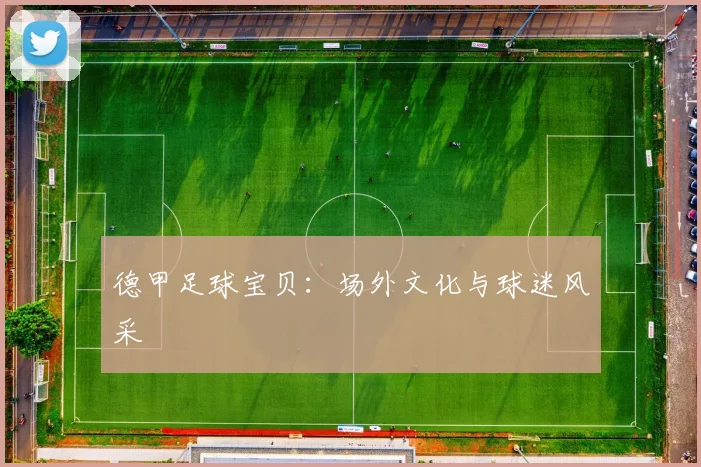 德甲足球宝贝:场外文化与球迷风采
